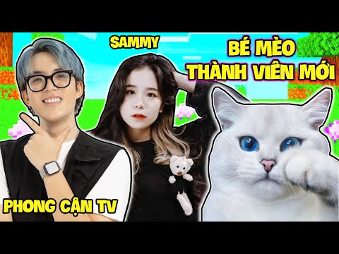 PHONG CẬN NHẬN NUÔI BÉ MÈO MỚI*BÉ CAM CÓ EM TRAI*THÀNH VIÊN MỚI CỦA HERO TEAM