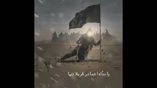 یا صاحب الزمان ادرکنی