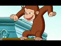 Curious George | Seed Trouble | Cartoons For Children | WildBrain Cartoons