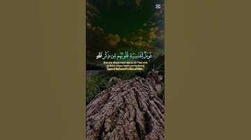 سورة الزمر القران الكريم بصوت جميل #القرآن_الكريم #المصحف #اكسبلور #لايك
