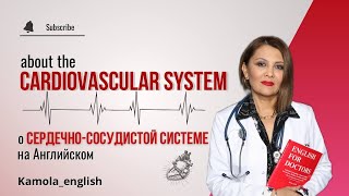 видео: О Сердечно-сосудистой системе на Английском языке | About the Cardiovascular system |Medical English картинка: О Сердечно-сосудистой системе на Английском языке | About the Cardiovascular system |Medical English