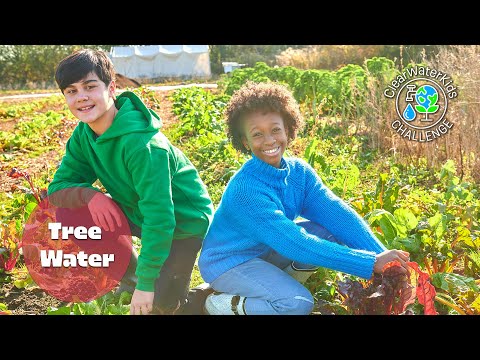 Tree Water | ClearWaterKids Challenge | Shaftesbury Kids