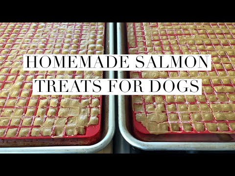 Video: Homemade Salmon Dog Treat Rețetă