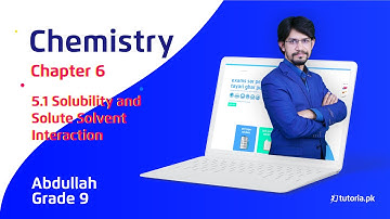 Chemistry Class 9 | Chapter 6 | Topic 5.1 | Solubility and Solute Solvent Interaction | tutoria.pk
