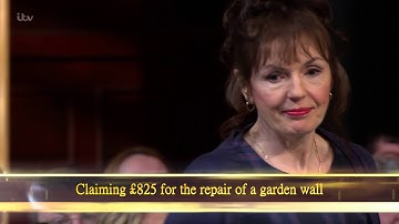 Garden Wall Repairs Case Claimant And Defendant Enter | Judge Rinder