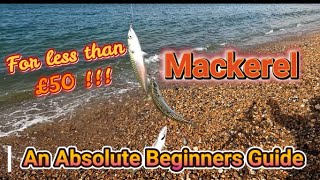 Beginners Guide  to Catching Mackerel on a Budget