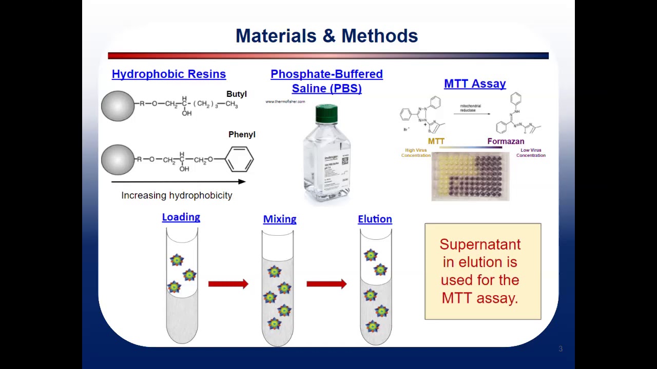 Preview image for Analyzing the hydrophobicity of viruses: A comparison of adsorption isotherms and chromatography video