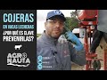 Cojeras en vacas lecheras | Agronauta Nº8