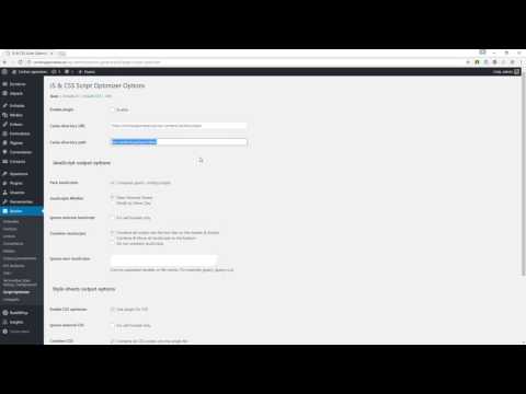 Video de Youtube sobre: Cómo optimizar WordPress - Guía completa GRATIS