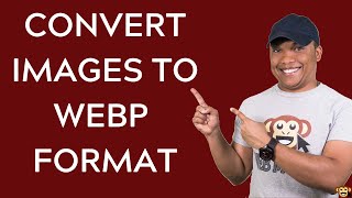 How to Convert WordPress Images to WebP Format - Using Optimole Image Optimizer Plugin