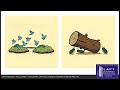 LAPT_Videos/English/CBSE/CBSE Academic/Class 12/Biology/Chapter 6 — Evolution - 6.7 Hardy-Weinberg P