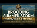 Brooding Summer Storm (Dark Screen) - 5 Hours of Rolling Thunder, Cicadas &amp; Bird Calls