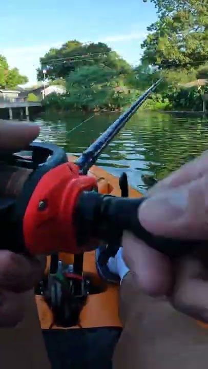 Fish DESTROYS BIRD🦜Fishing Lure⁉️(TOPWATER) 