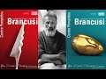Constantin brancusi fondateur de la sculpture moderne  rtrospective  paris