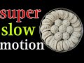 Momos folding tips for beginners in super slow motion  you can fold best momos after watching