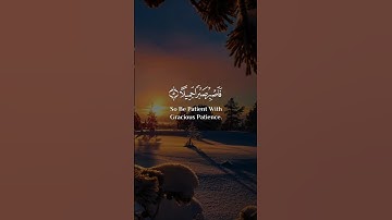 أكتب شيئ تؤجر عليه ✍❤🤲 القرآن الكريم Quran alkrim #اكسبلور #islamicprayer #راحة_نفسية #المصحف #fyp