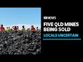 Queensland coal mines to be sold after BHP offer rejected | ABC News