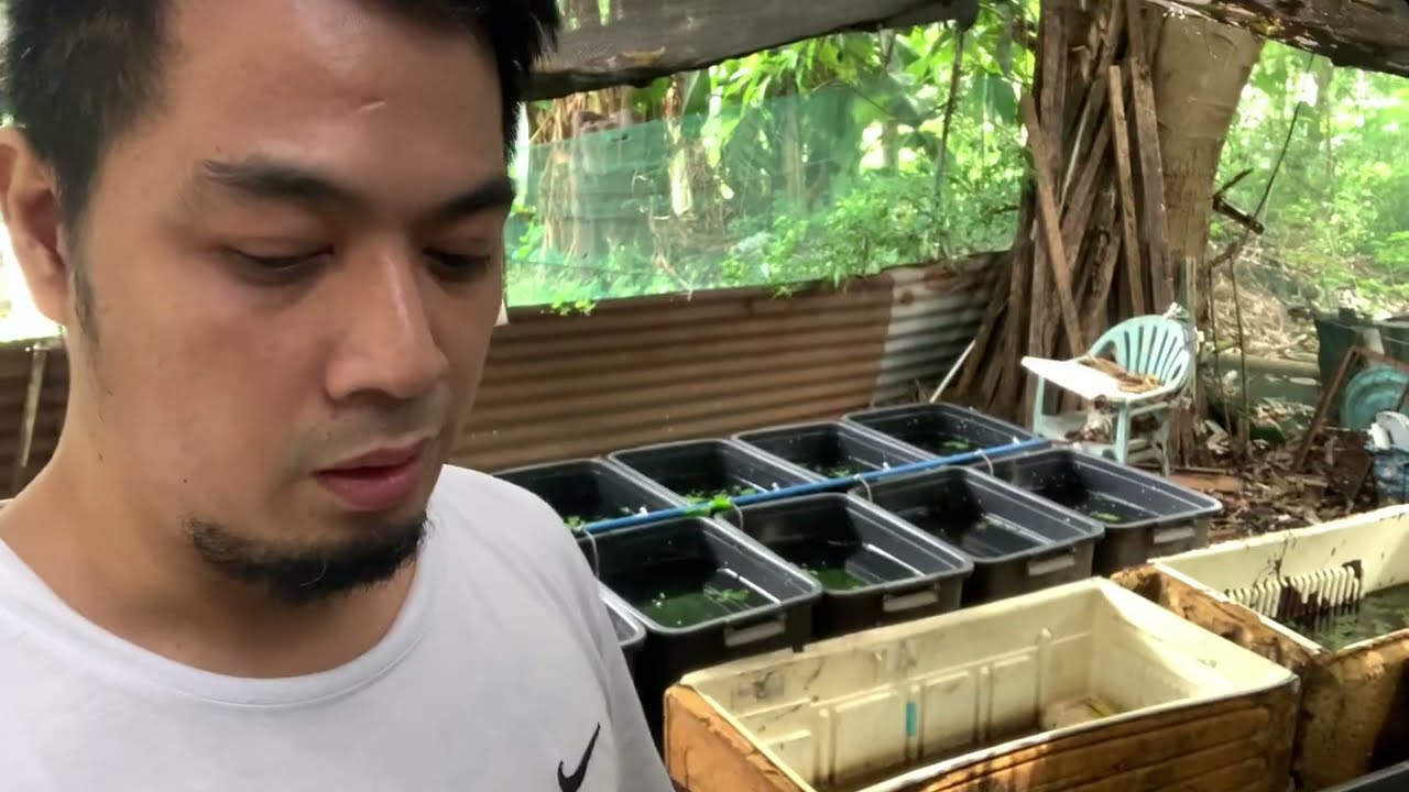 andami ko ng PKBM 😁👍