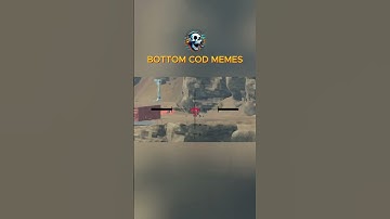 What the dogs doing | BOTTOM COD MEMES #codmemes #codmbrfunnymoments  #codmtrolling #codmobileclips