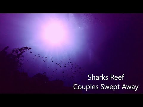 Sharks Reef | Couples Swept Away Scuba | Negril, Jamaica | The Dive Couple | 2019