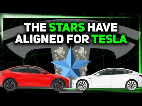 The Stars Have Aligned for Tesla / Giga Shanghai Decision / Redwood Expanding
