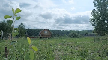 Цены на саженцы Ирги Канадских сортов! Почему такая цена?  Как прижились Сластена и Хонейвуд у меня?