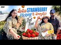 Fruit picking | Strawberry picking |Australia strawberry farm #teluguvlogs #fruitpicking #tejvlogs