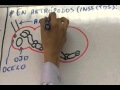 Biología 9 Sistema Nervioso - Pedro Pedrozo