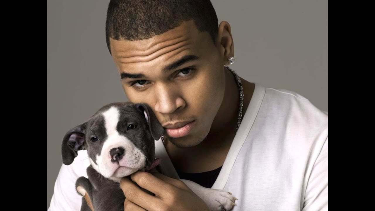 chris brown money earnings chris brown money earnings