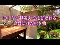【DIYで見違える作業場所に】庭に訪れる生き物アマガエル