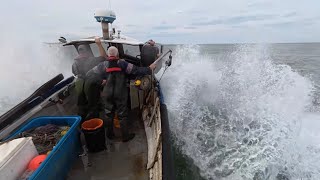 Hauling the gear, pots rolled, wind picked up making it hard work. A few prawns for dad. sea fishing