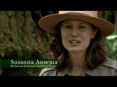 Redwood National Park Ranger Talk