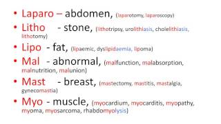 Medical terms 3, Prefixes part 2 screenshot 5