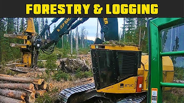 John Deere 903k Feller Buncher Clearing Blow Down Wood - Real Life Forestry & Logging - FDR Logging