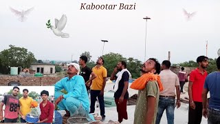 Tournament # Kabootar Bazi  Pind machhrouli Distt kurukshetra Haryana// Panjabi Song Video// use