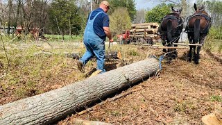 Back at it y’all!!! FINALLY…Mule Logging