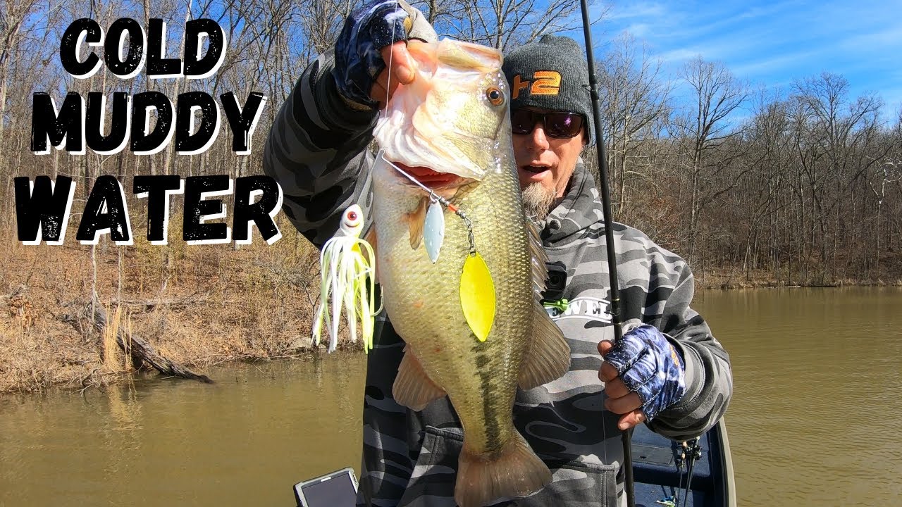 BASS LOVE SPINNERBAITS In COLD MUDDY WATER 