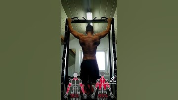 Types of pull-ups #pullups #calisthenics #homeworkout