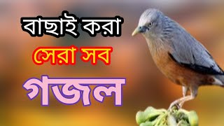 Bengali Islamic naat | amazing Islamic song | ইসলামিক সেরা গজল | bangla new gojol | New gojol