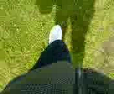 Heather hopping