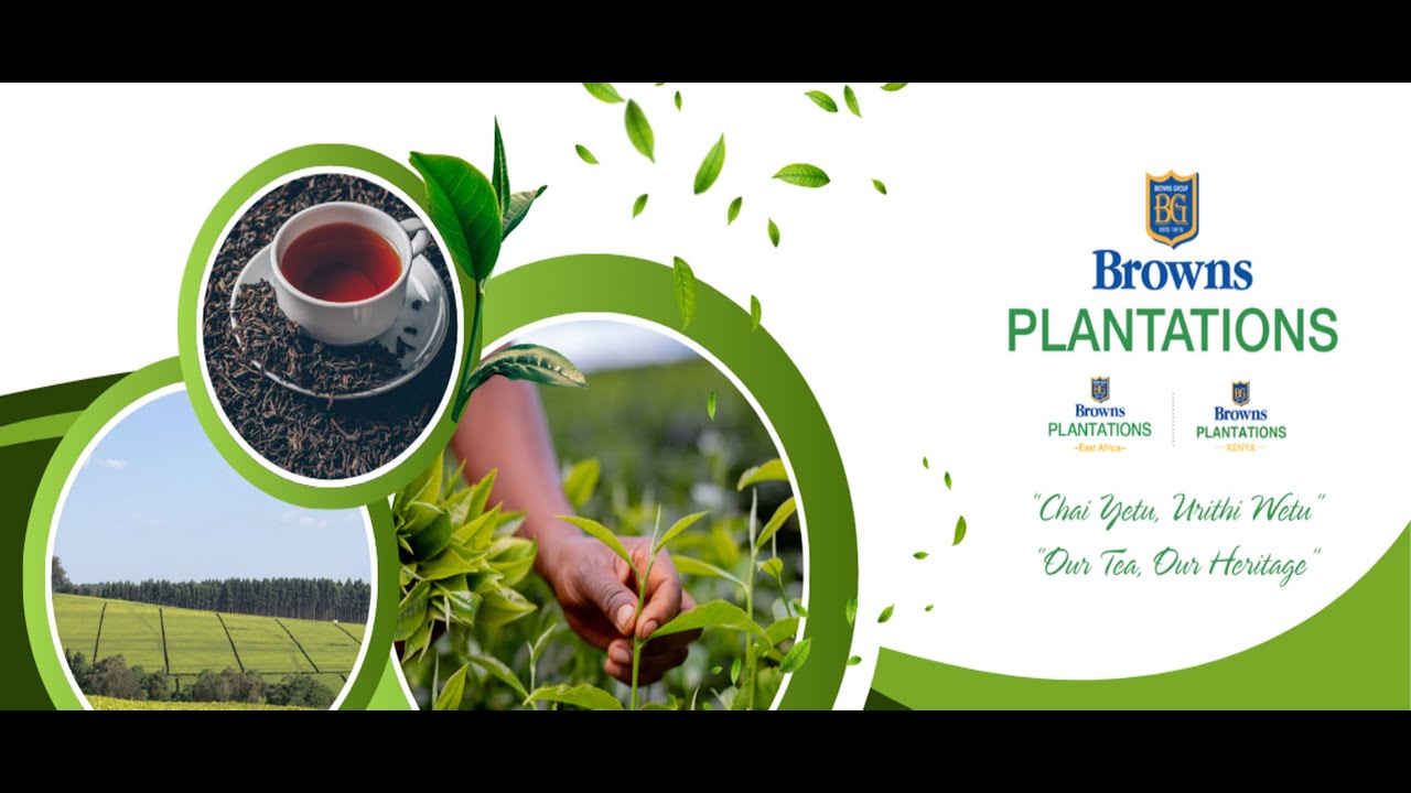 Changing Lives through education: Browns East Africa Plantations CSR Projects in Bomet & Kericho