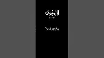 سورة آل عمران الآية |١٥١|