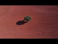 Single Tree In Red Farmland خلفيات مونتاج طبيعة بدقة عالية 2 