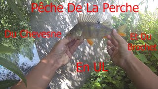 Pêche Du Brochet, De La Perche Et Du Chevesne En UL/ Touches En Direct !