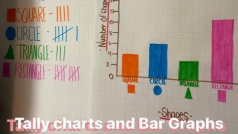 Tally Chart and Bar Graphing Mini-Lesson