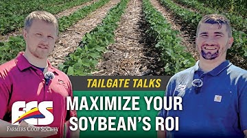Tailgate Talks - Maximize Soybean ROI