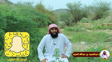 فوائد من الآيات [ وَلَو تَقَوَّلَ عَلَينا بَعضَ الأَقاويلِ ]