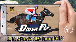 DIOSA FLY-Clasico Interprovincial- Hipico Santa Ana Ctes 08.10.23