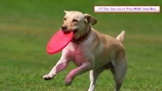 10 Fun Games to Play With Your Dog 2023 by Pet Waw 59 views 1 year ago 8 minutes, 9 seconds