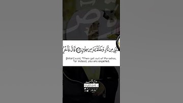 الشيخ ياسر الدوسري 🌴 (سورة ص )